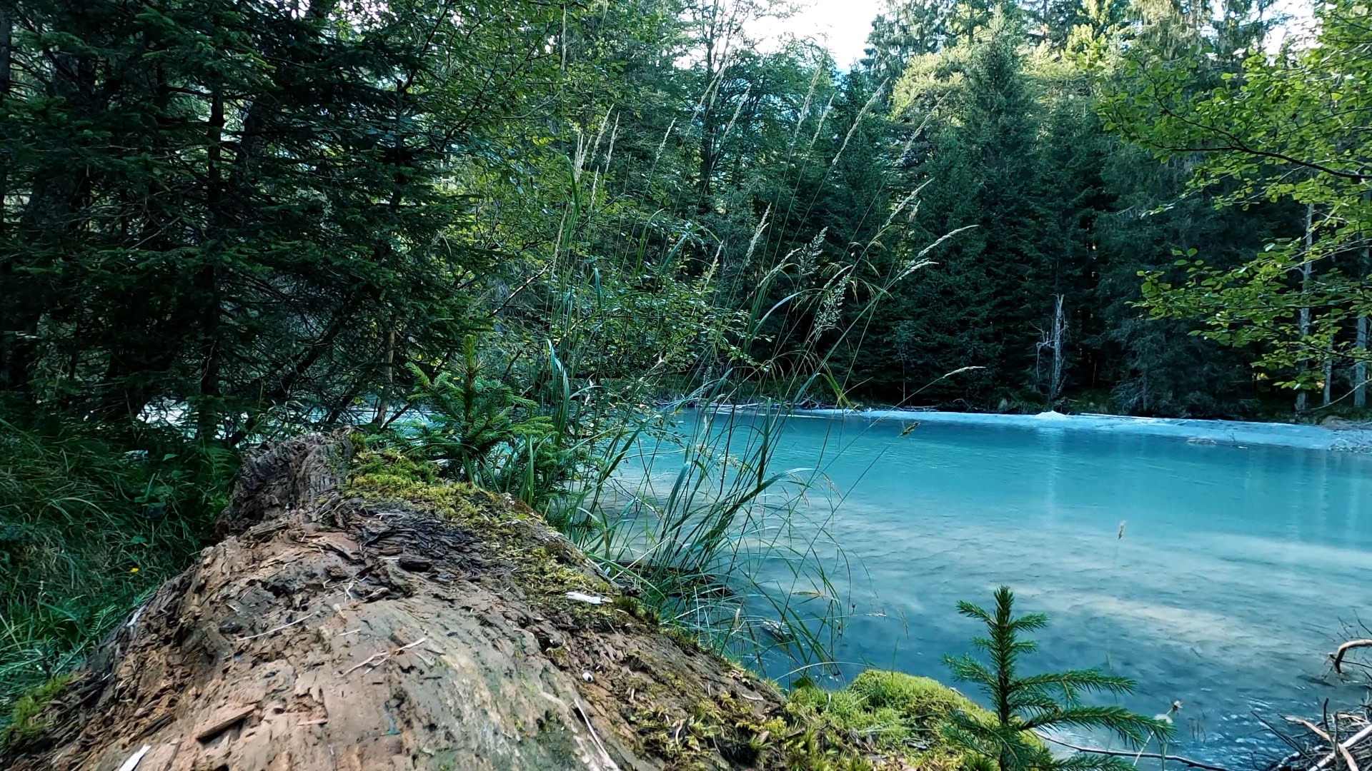 Genieße die Ruhe und Entspannung am Fluss mit den Geräuschen der Natur