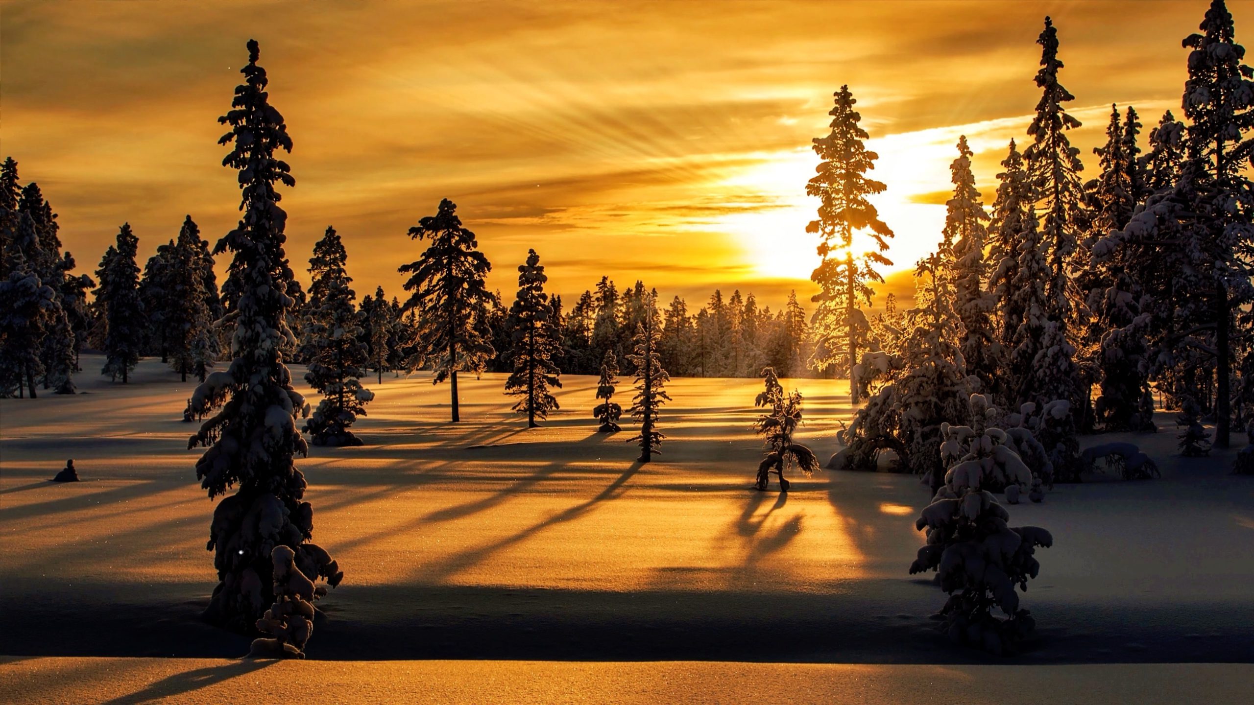 Entspannungsmusik - Entspannung in einer verträumten Schneelandschaft bei Sonnenuntergang